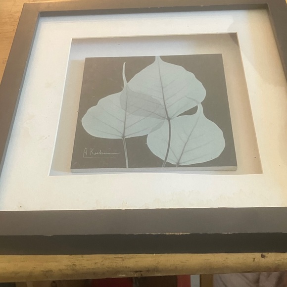 Framed Leaf Art Print Albert koetsier - Picture 1 of 5